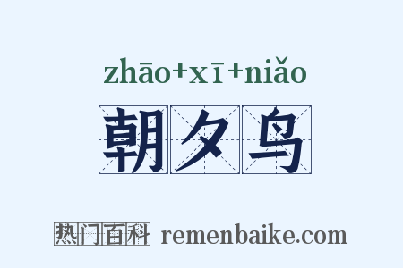 朝夕鸟是什么意思的图片